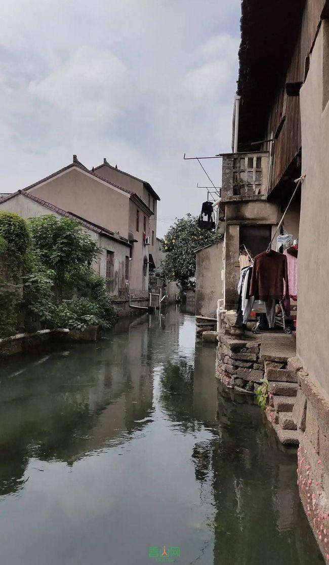 又见“牛市旗手”，涨停！
